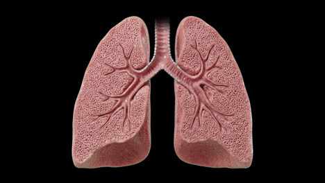 Respiratory Problems